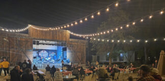 Woodshed Music Festival Returns to Willow Glen Resort
