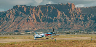 The Skies Ignite: Warbirds, Skydivers, and Smoke-Filled Maneuvers
