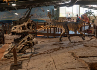 New Leadership Steers Famous Fossil Site into a Bold Chapter of Discovery St. George Dinosaur Discovery Site, Mindy Plumlee, dinosaur tracks, local history, paleontological excavations, Johnson Farm, Southern Utah museums