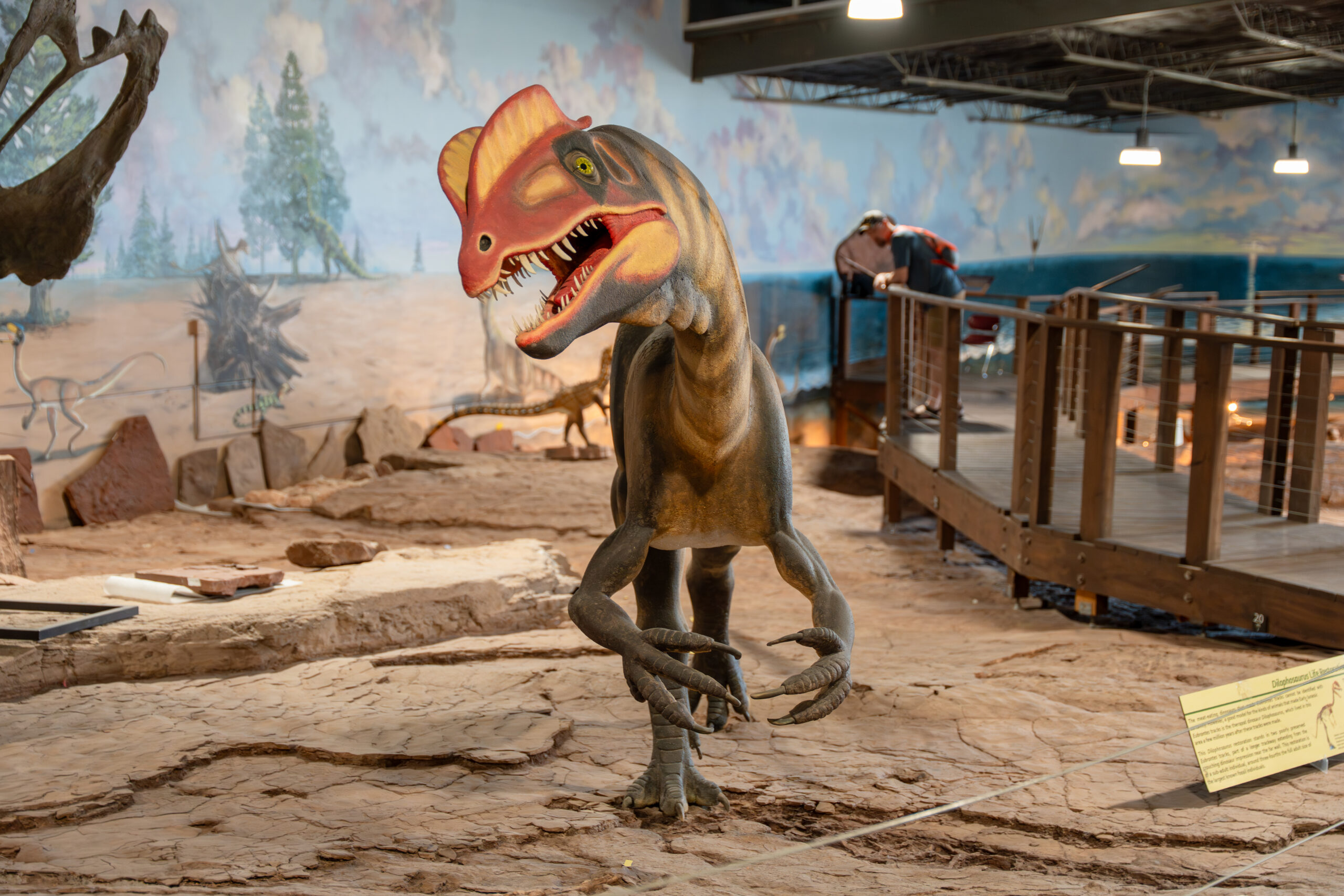 St. George Dinosaur Discovery Site, Mindy Plumlee, dinosaur tracks, local history, paleontological excavations, Johnson Farm, Southern Utah museums