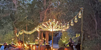 The Utah Wine Festival: Uncorking Speakeasies and Farm-Fresh Feasts in Cedar City