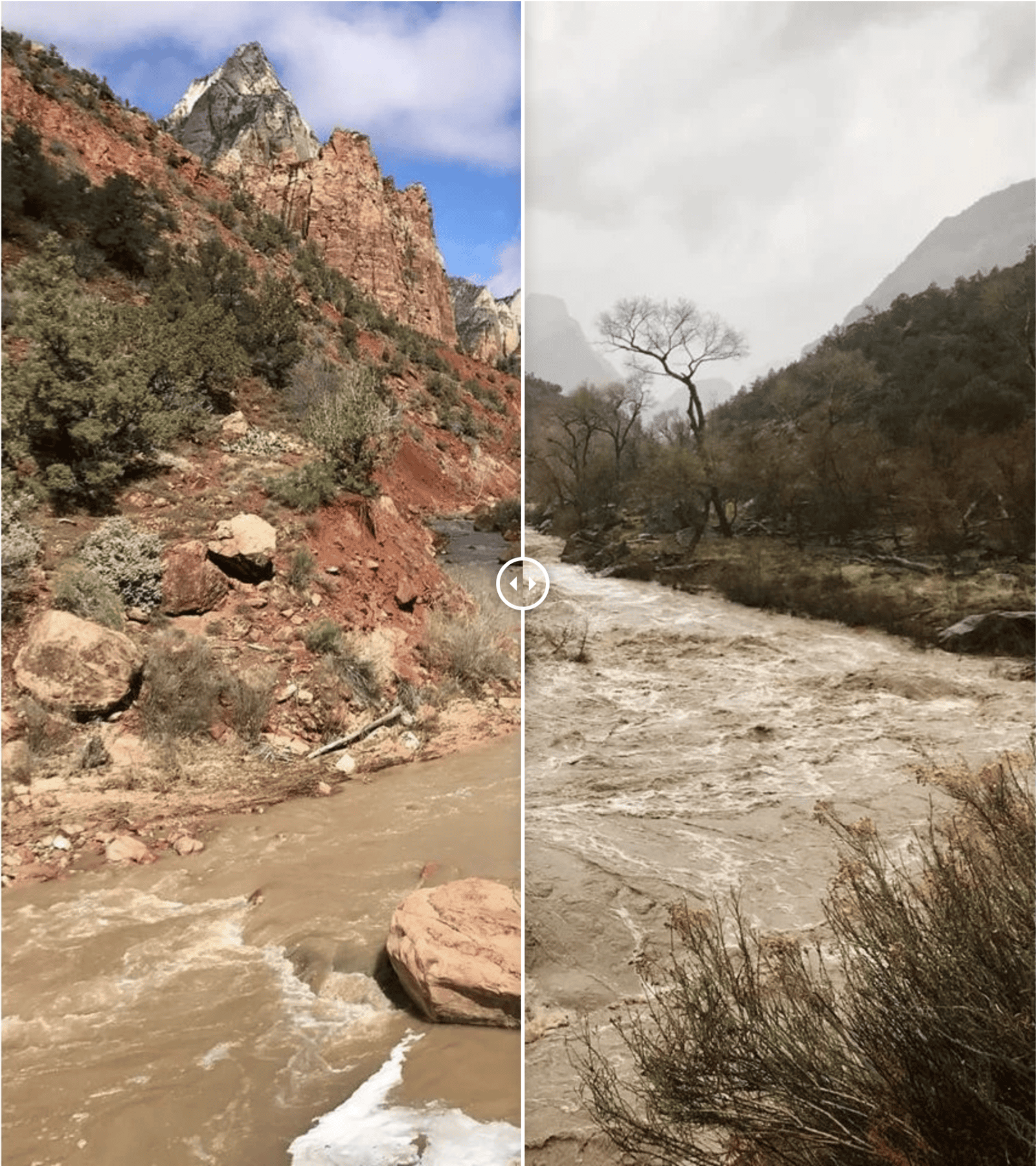 Navigating Zion National Park During the Monsoon Season - The Independent | Southern Utah's #1 Source for Arts, Events & Entertainment
