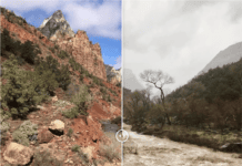 Navigating Zion National Park During the Monsoon Season Visiting Zion National Park from July through September requires careful planning as monsoon season brings sudden thunderstorms and dangerous flash floods to the region.