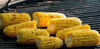 Southern Utah Weekend Events Guide – August 27, 2026