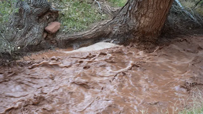 Visiting Zion National Park from July through September requires careful planning as monsoon season brings sudden thunderstorms and dangerous flash floods to the region.
