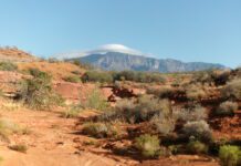 Spanish Wash Trail in the Red Cliffs Desert Reserve