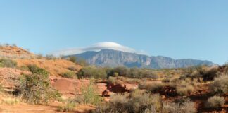 Spanish Wash Trail in the Red Cliffs Desert Reserve