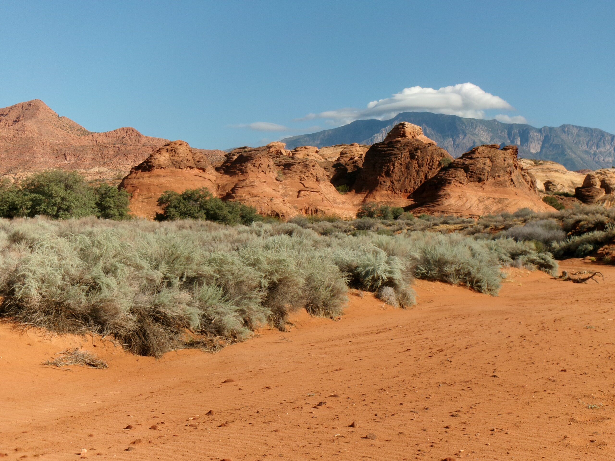 Red rock formation along Spanish Wash Trail. August 2026. Photo by Tom Garrison
