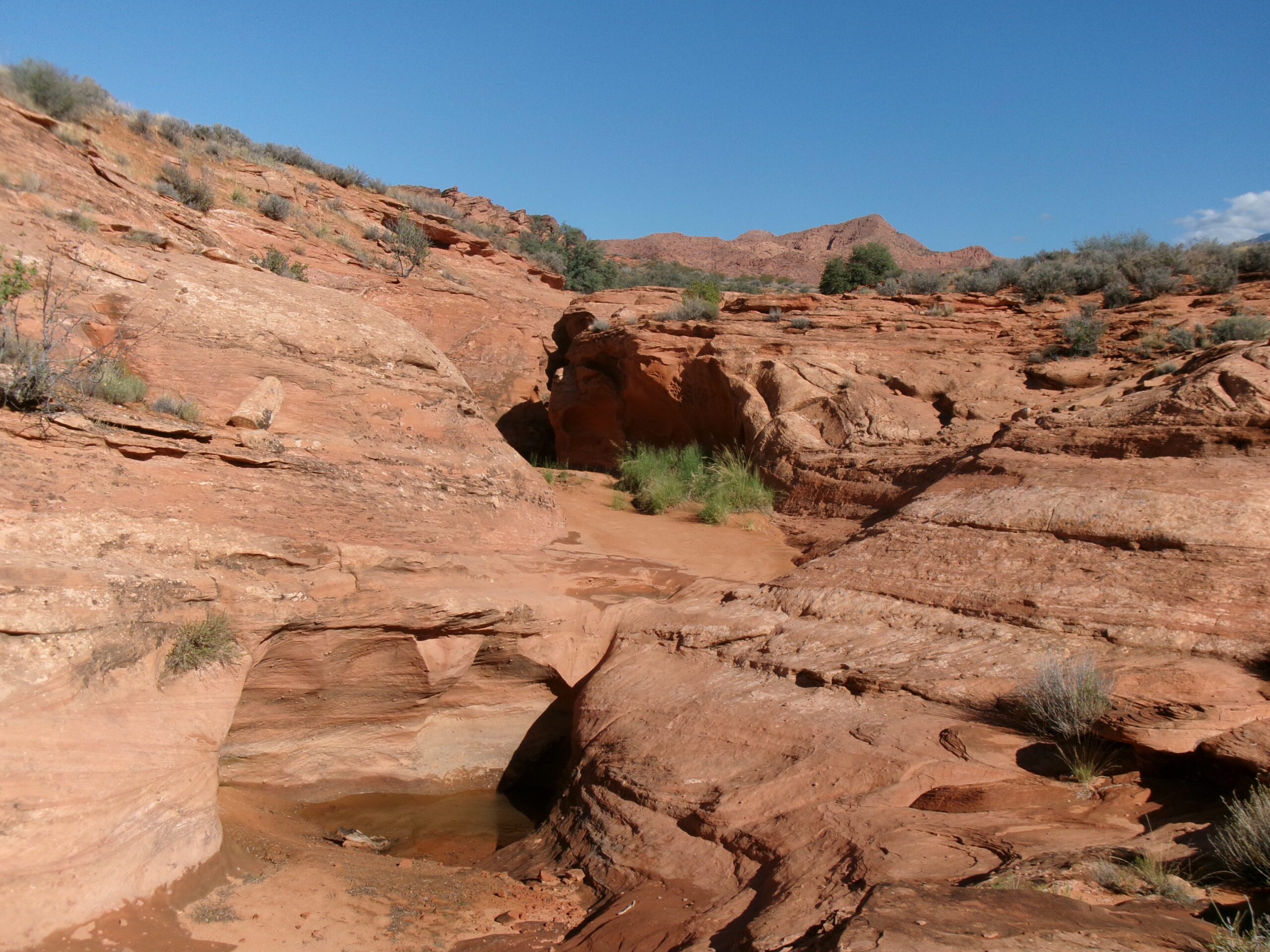 Slot Canyon area, Spanish Wash Trail, August 2026. Photo by Tom Garrison