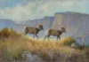 Celebrated Women’s Art Collective Opens Landmark Exhibition at Maynard Dixon Museum The Thunderbird Foundation for the Arts hosts the 'Wild Women Paint the West' exhibition opening at the Maynard Dixon Legacy Museum on September 11, 2026.