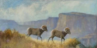 Celebrated Women’s Art Collective Opens Landmark Exhibition at Maynard Dixon Museum The Thunderbird Foundation for the Arts hosts the 'Wild Women Paint the West' exhibition opening at the Maynard Dixon Legacy Museum on September 11, 2026.