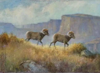 Celebrated Women’s Art Collective Opens Landmark Exhibition at Maynard Dixon Museum The Thunderbird Foundation for the Arts hosts the 'Wild Women Paint the West' exhibition opening at the Maynard Dixon Legacy Museum on September 11, 2026.