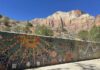 Self-Guided Autumn Art Walk Invites Visitors to Explore Canyon Galleries on Foot